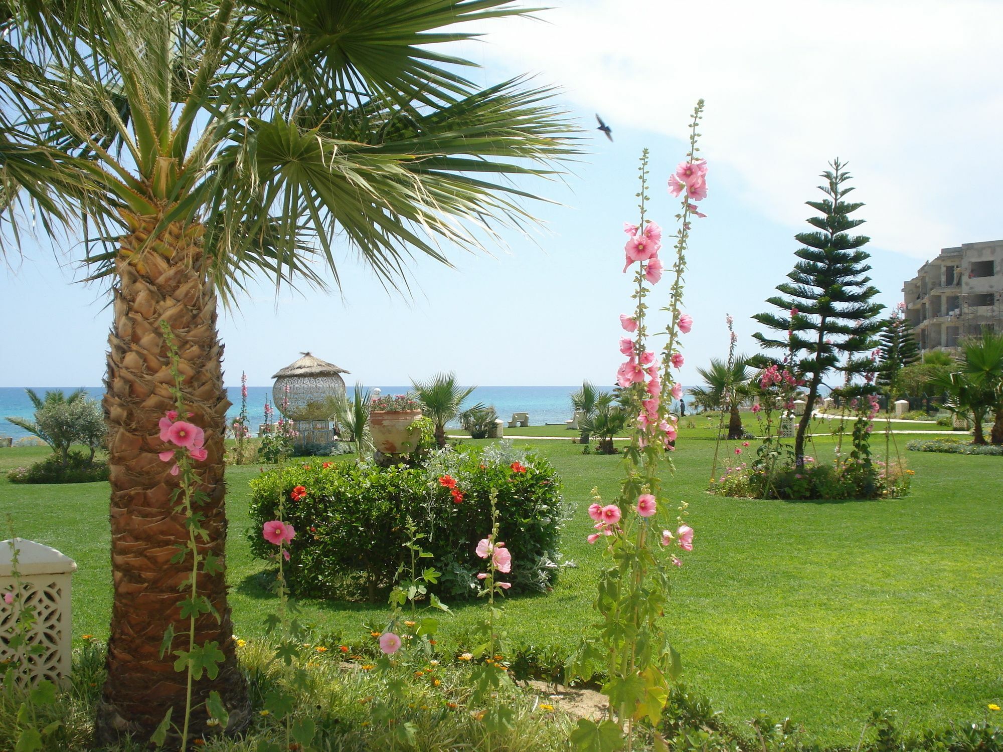B&B Cote D'Azur Hammamet Exterior photo